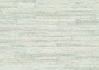 Takenoha 50642