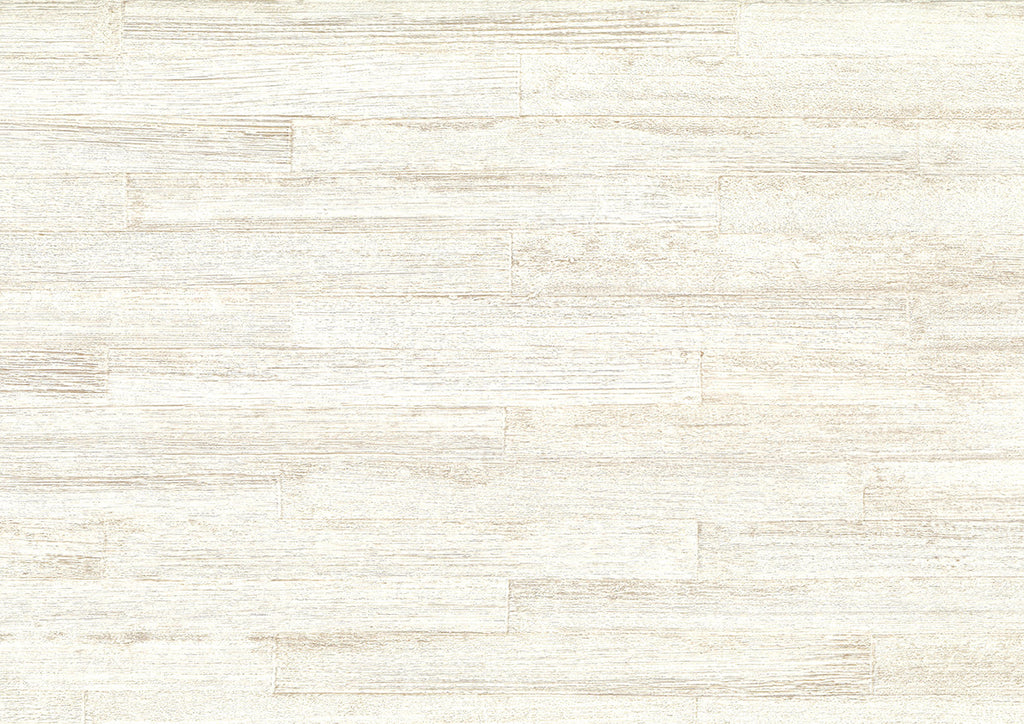 Takenoha 50643