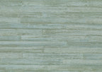 Takenoha 50644