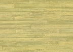Takenoha 50647