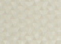 Triangles Tropicales 6830