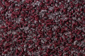 VELLUS 01