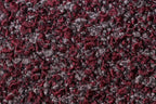 VELLUS 01