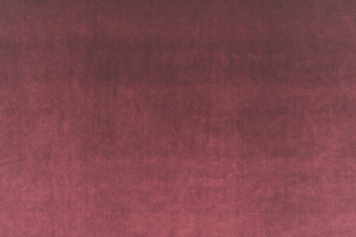 Vitus 14404.432