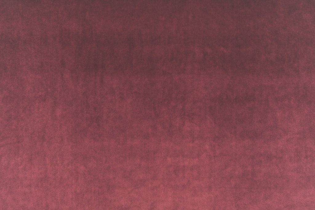 Vitus 14404.432