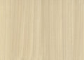 Wood Veneer 3267