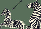 Zebras 26001