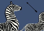 Zebras 26002