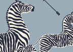 Zebras 26004