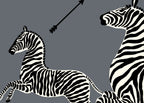 Zebras 26005