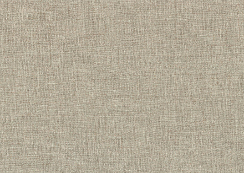 Zen 26353