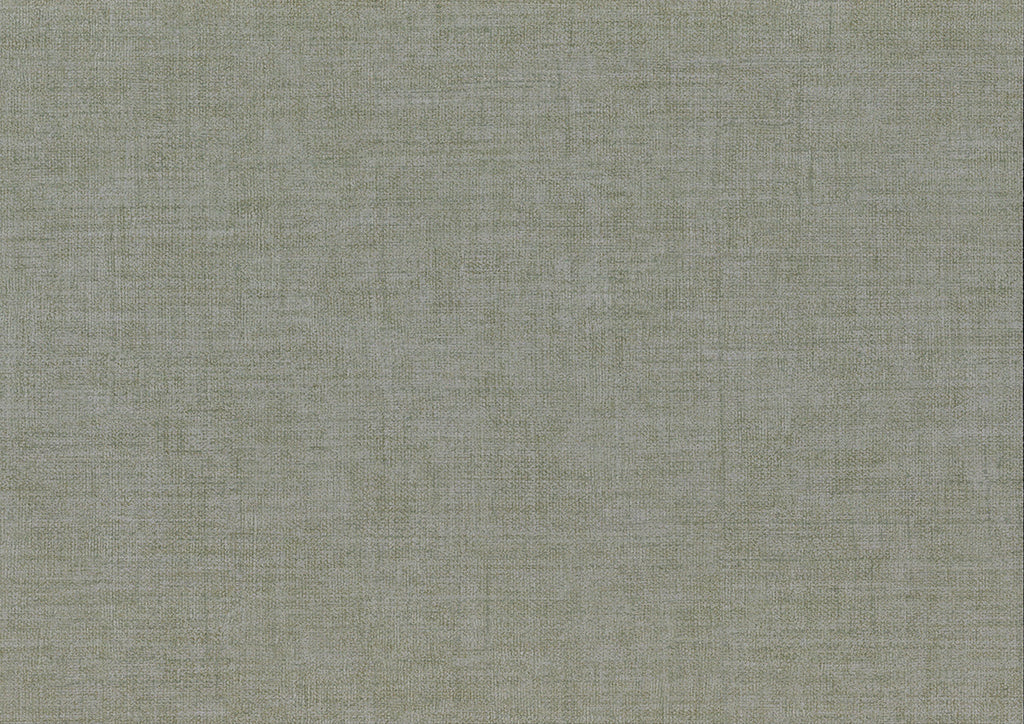Zen 26354