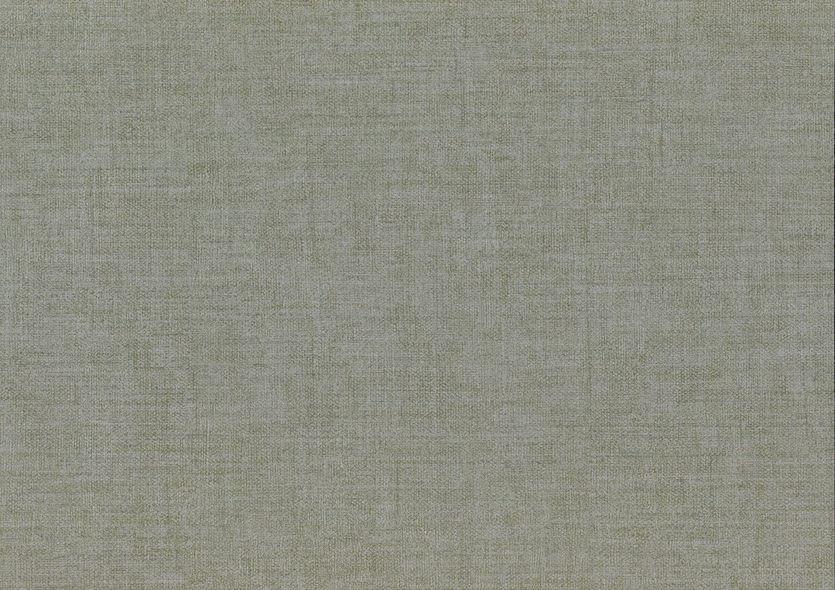Zen 26354